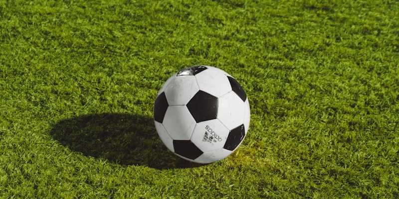 NBA季后赛经典瞬间录像 - 球员完成绝杀后全场欢呼